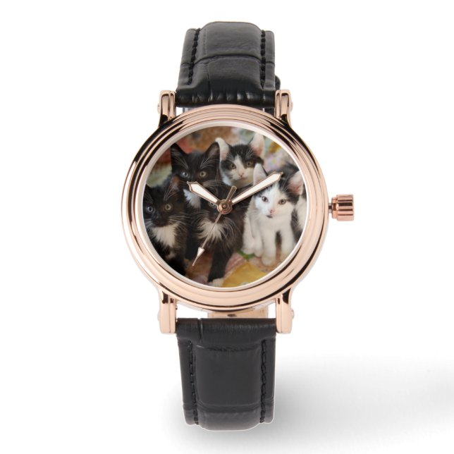 Cutest Baby Animals | Black & White Kittens Watch (Front)