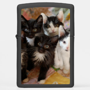 Cutest Baby Animals Black & White Kittens Zippo Lighter