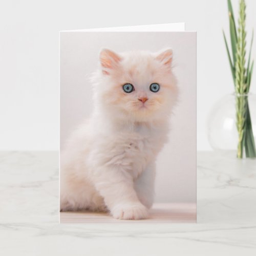 Cutest Baby Animals  Blue Eye Kitten Card