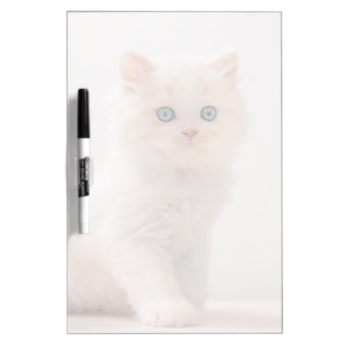Cutest Baby Animals  Blue Eye Kitten Dry Erase Board