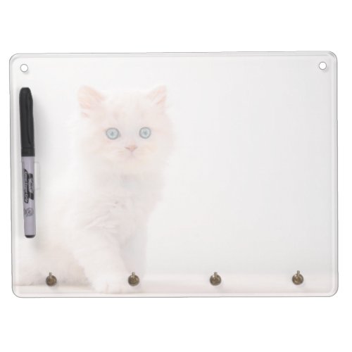 Cutest Baby Animals  Blue Eye Kitten Dry Erase Board With Keychain Holder