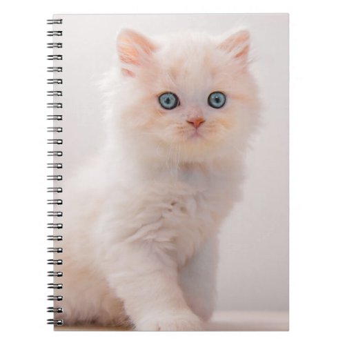 Cutest Baby Animals  Blue Eye Kitten Notebook