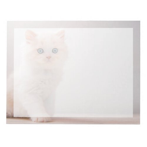 Cutest Baby Animals  Blue Eye Kitten Notepad