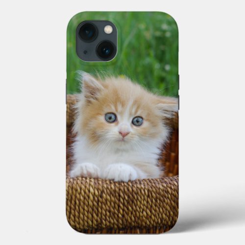 Cutest Baby Animals  Blue Eyed Kitten iPhone 13 Case