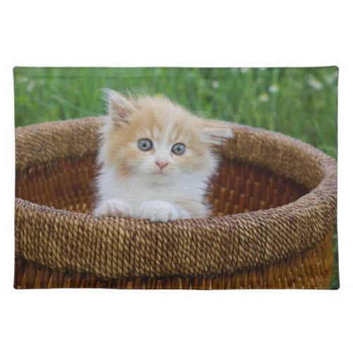 Cutest Baby Animals  Blue Eyed Kitten Cloth Placemat