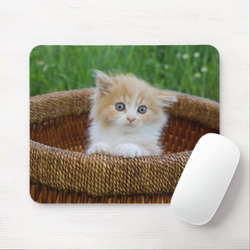 Cutest Baby Animals  Blue Eyed Kitten Mouse Pad