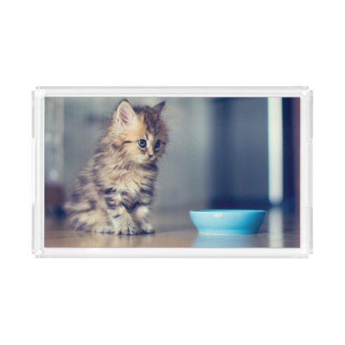 Cutest Baby Animals  Blue_eyed Persian Kitten Acrylic Tray