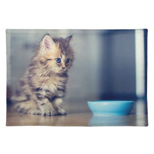 Cutest Baby Animals  Blue_eyed Persian Kitten Cloth Placemat