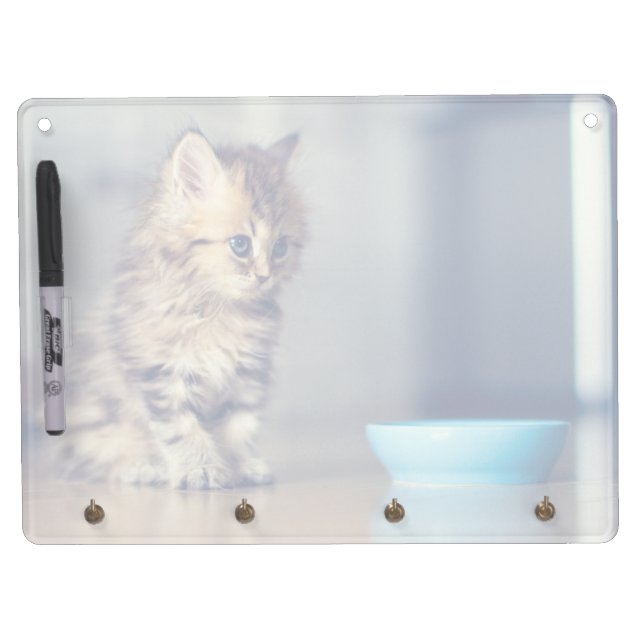 Cutest Baby Animals | Blue-eyed Persian Kitten Dry Erase Board With Keychain Holder (Front)