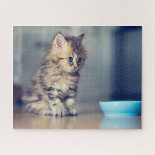 Cutest Baby Animals  Blue_eyed Persian Kitten Jigsaw Puzzle