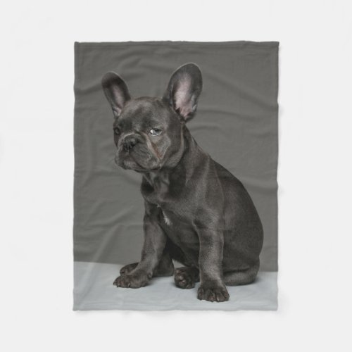 Cutest Baby Animals  Blue French Bulldog Puppy Fleece Blanket