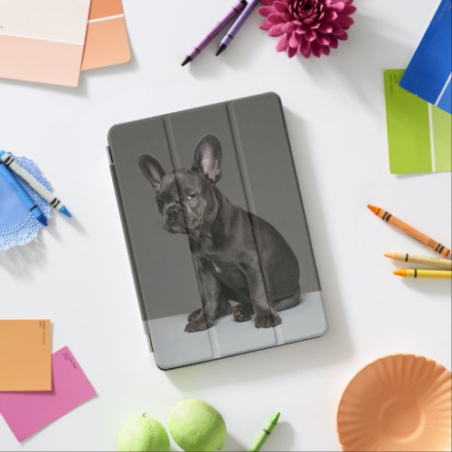 Cutest Baby Animals  Blue French Bulldog Puppy iPad Air Cover