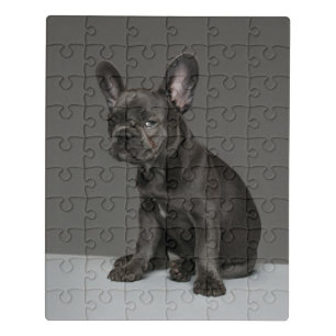 Cutest Baby Animals Blue French Bulldog Puppy Jigsaw Puzzle