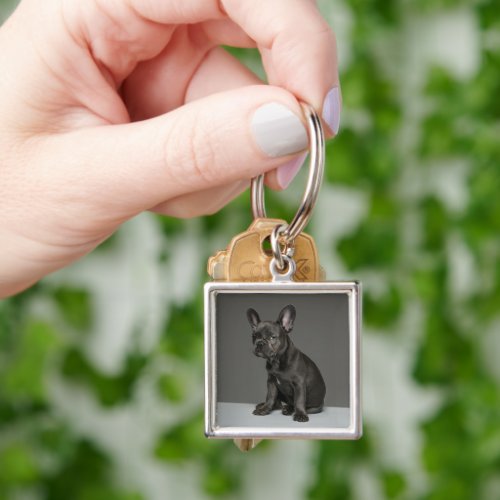 Cutest Baby Animals  Blue French Bulldog Puppy Keychain