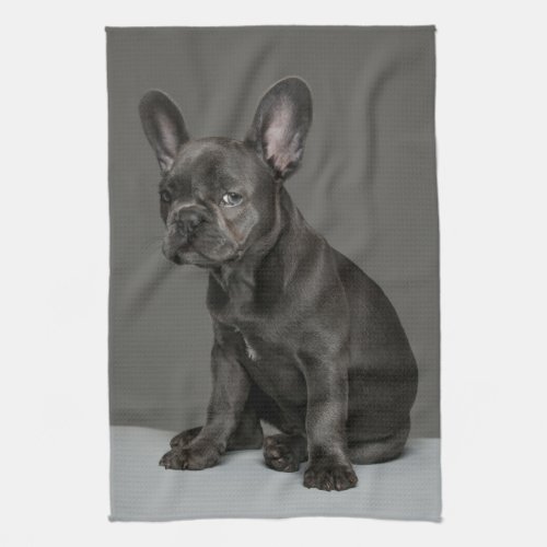 Cutest Baby Animals  Blue French Bulldog Puppy Kitchen Towel