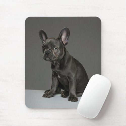 Cutest Baby Animals  Blue French Bulldog Puppy Mouse Pad