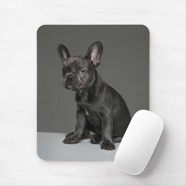 Cutest Baby Animals | Blue French Bulldog Puppy Mouse Pad (With Mouse)