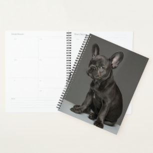 Cutest Baby Animals Blue French Bulldog Puppy Planner