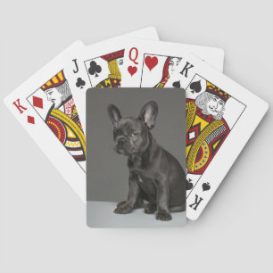 Cutest Baby Animals Blue French Bulldog Puppy Poker Cards