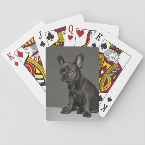 Cutest Baby Animals  Blue French Bulldog Puppy Poker Cards