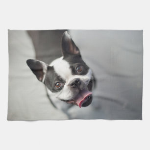 Cutest Baby Animals Boston Bulldog Smile Kitchen Towel