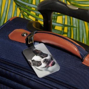 Cutest Baby Animals Boston Bulldog Smile Luggage Tag