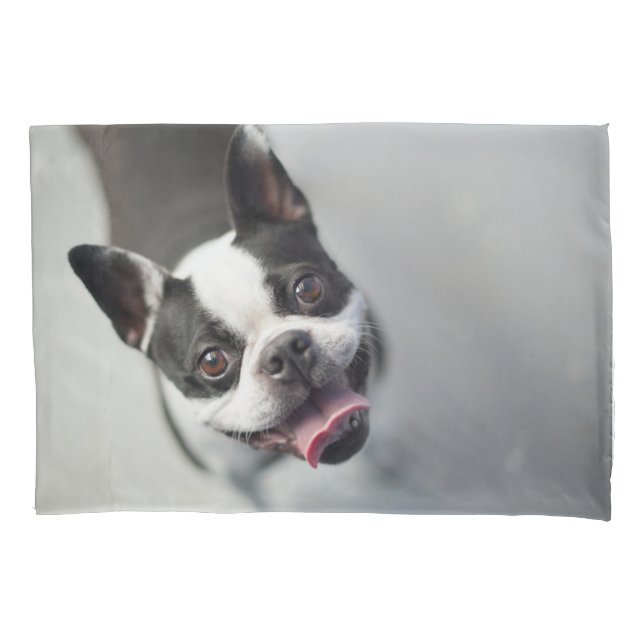 Cutest Baby Animals | Boston Bulldog Smile Pillow Case (Front)
