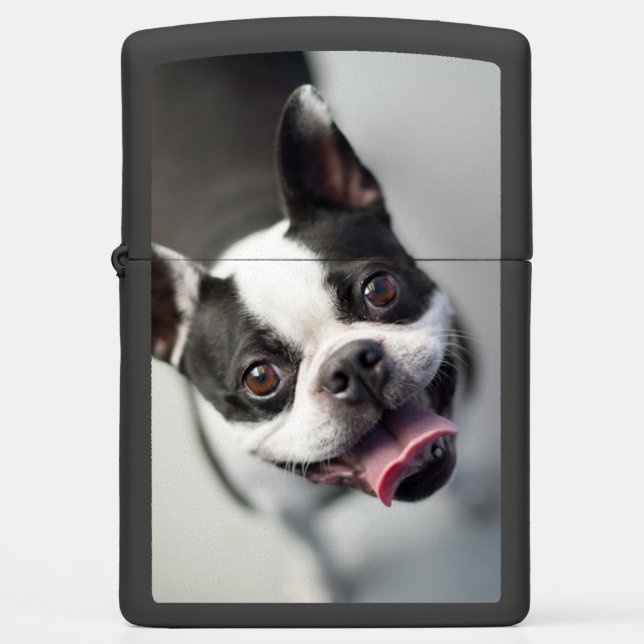 Cutest Baby Animals | Boston Bulldog Smile Zippo Lighter (Front)