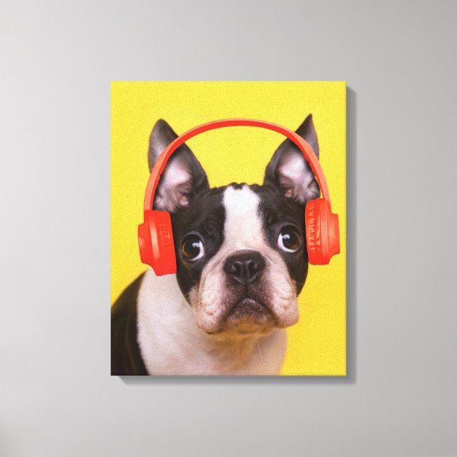 Cutest Baby Animals | Boston Terrier Headphones Canvas Print (Front)