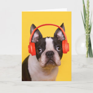 Cutest Baby Animals   Boston Terrier Headphones Card