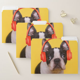 Cutest Baby Animals   Boston Terrier Headphones File Folder
