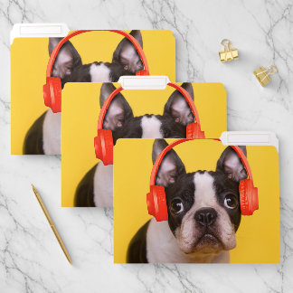 Cutest Baby Animals | Boston Terrier Headphones File Folder
