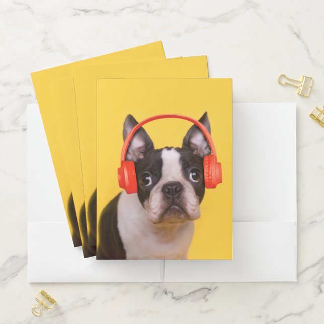 Cutest Baby Animals | Boston Terrier Headphones Pocket Folder (In Situ)