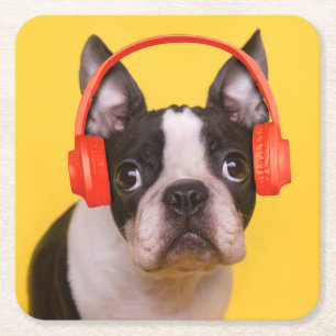 Cutest Baby Animals   Boston Terrier Headphones Square Paper Coaster