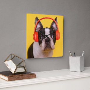 Cutest Baby Animals Boston Terrier Headphones Square Wall Clock