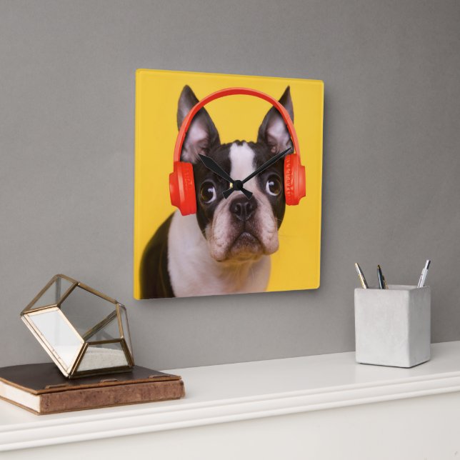 Cutest Baby Animals | Boston Terrier Headphones Square Wall Clock (Office)
