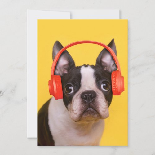 Cutest Baby Animals  Boston Terrier Headphones Thank You Card