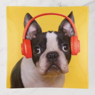 Cutest Baby Animals Boston Terrier Headphones Trinket Tray