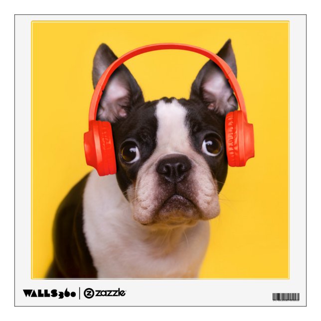 Cutest Baby Animals | Boston Terrier Headphones Wall Decal (Front)