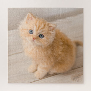 Cutest Baby Animals British Longhair Kitten Jigsaw Puzzle