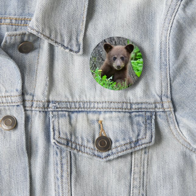 Cutest Baby Animals | Brown Bear Cub Button (In Situ)