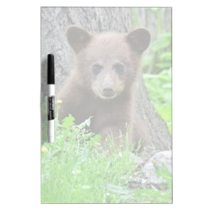 Cutest Baby Animals   Brown Bear Cub Dry Erase Board