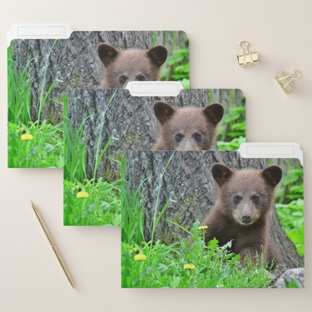 Cutest Baby Animals | Brown Bear Cub File Folder (Set)