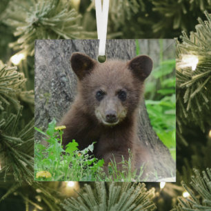 Cutest Baby Animals Brown Bear Cub Glass Ornament