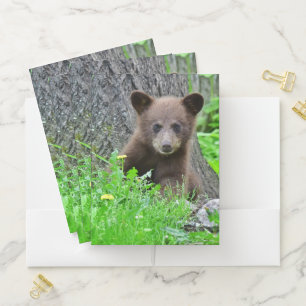Cutest Baby Animals   Brown Bear Cub Pocket Folder