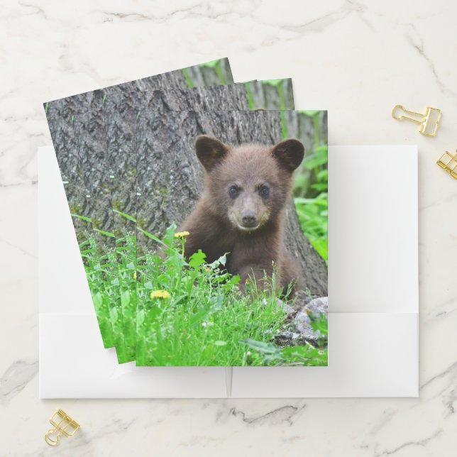 Cutest Baby Animals | Brown Bear Cub Pocket Folder (In Situ)