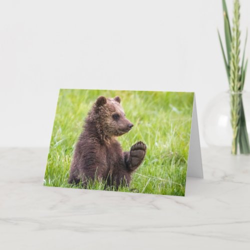 Cutest Baby Animals  Brown Bear Cub Wave Card