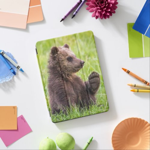 Cutest Baby Animals  Brown Bear Cub Wave iPad Air Cover