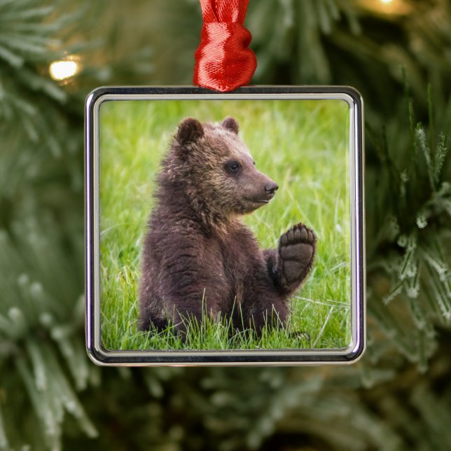 Cutest Baby Animals | Brown Bear Cub Wave Metal Ornament (Tree)