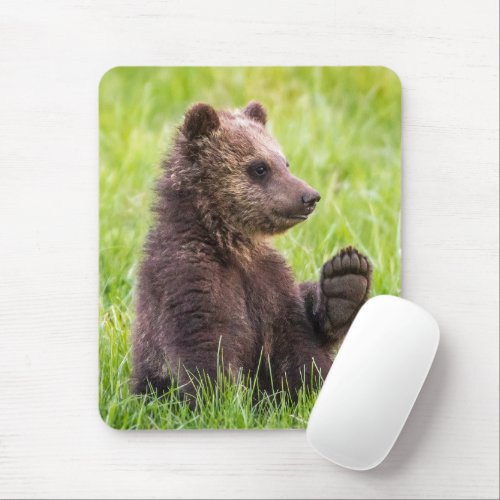 Cutest Baby Animals  Brown Bear Cub Wave Mouse Pad